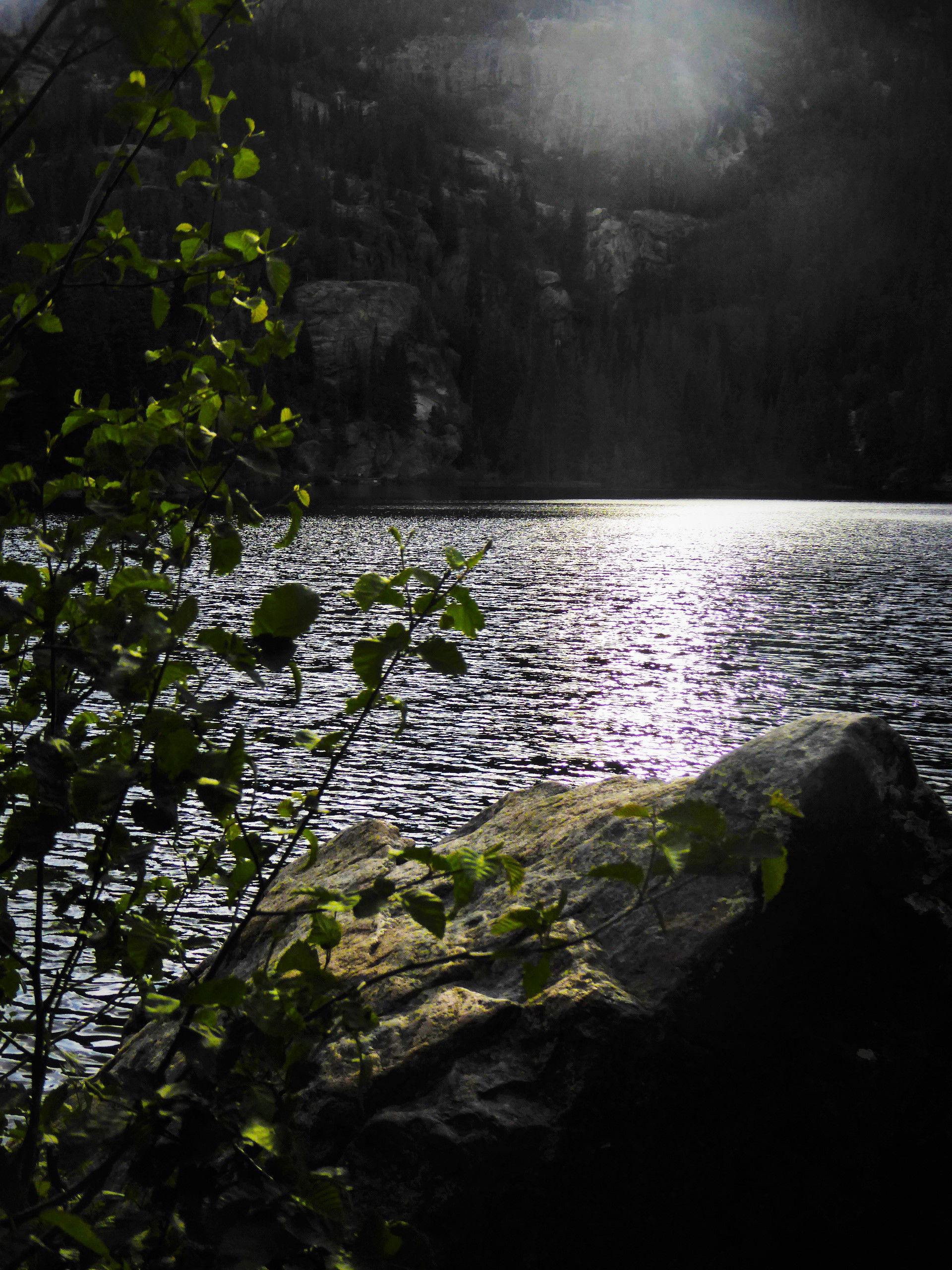 Mountain Shadows