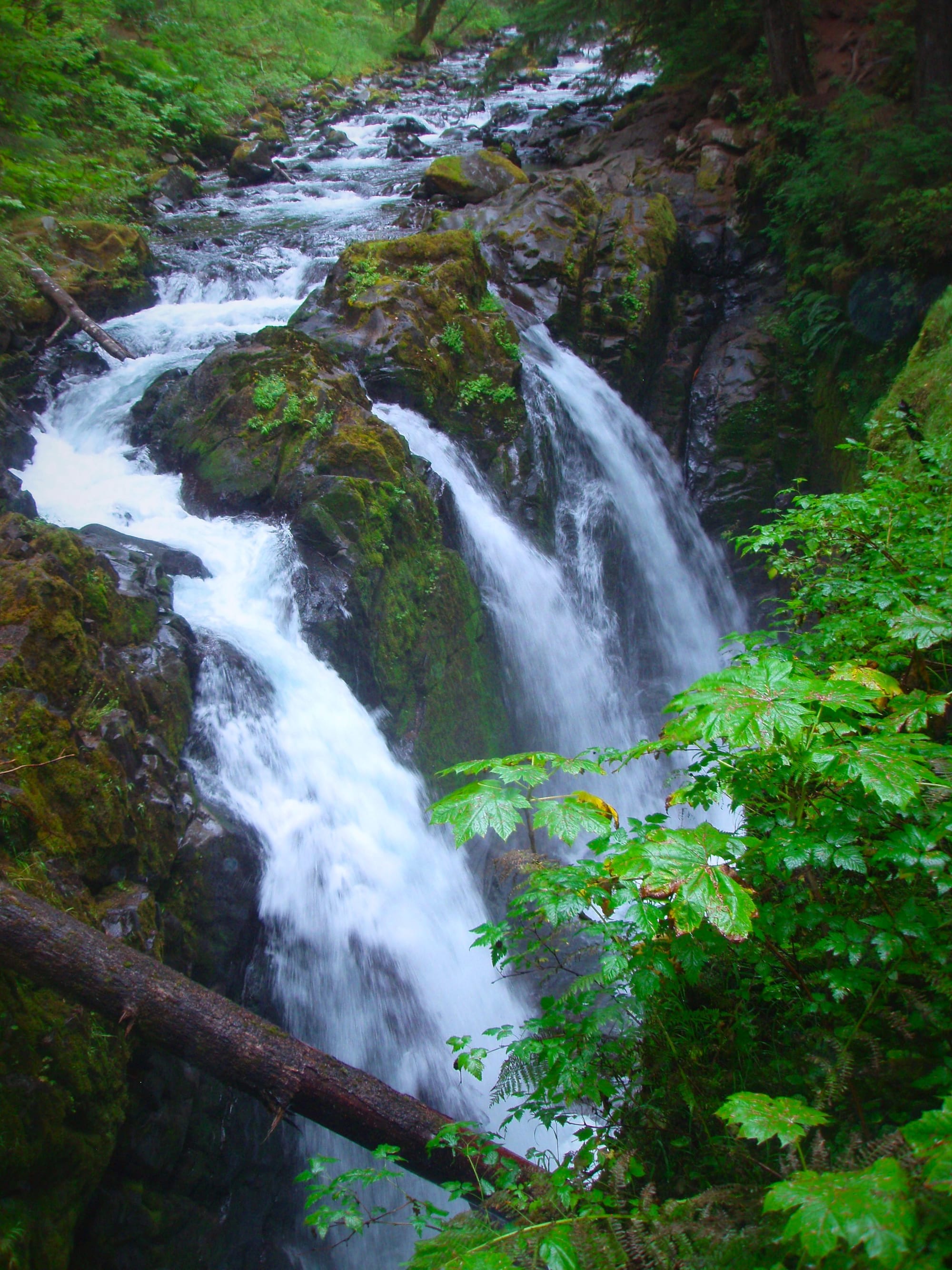 Three Falls at Sol Duc