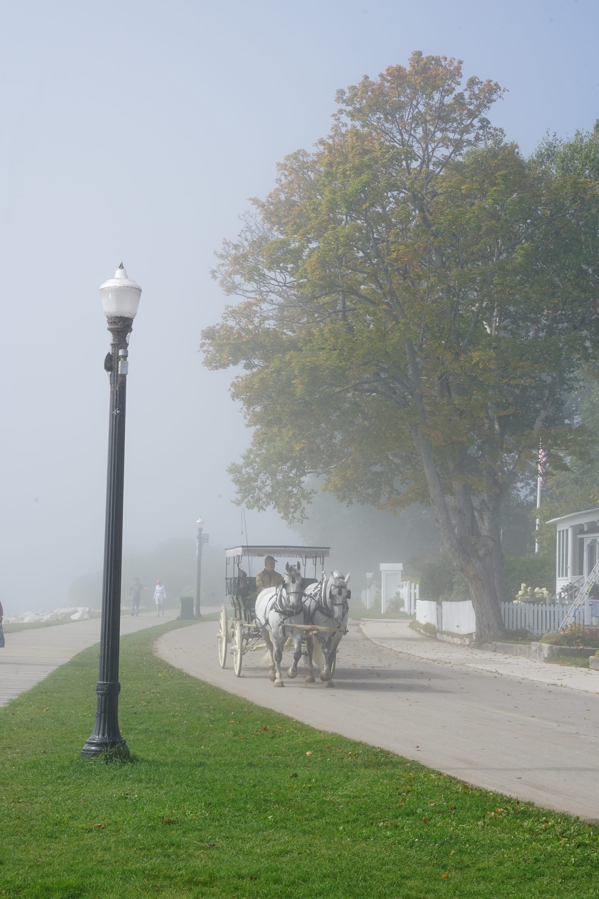 A Peaceful Morning Commute