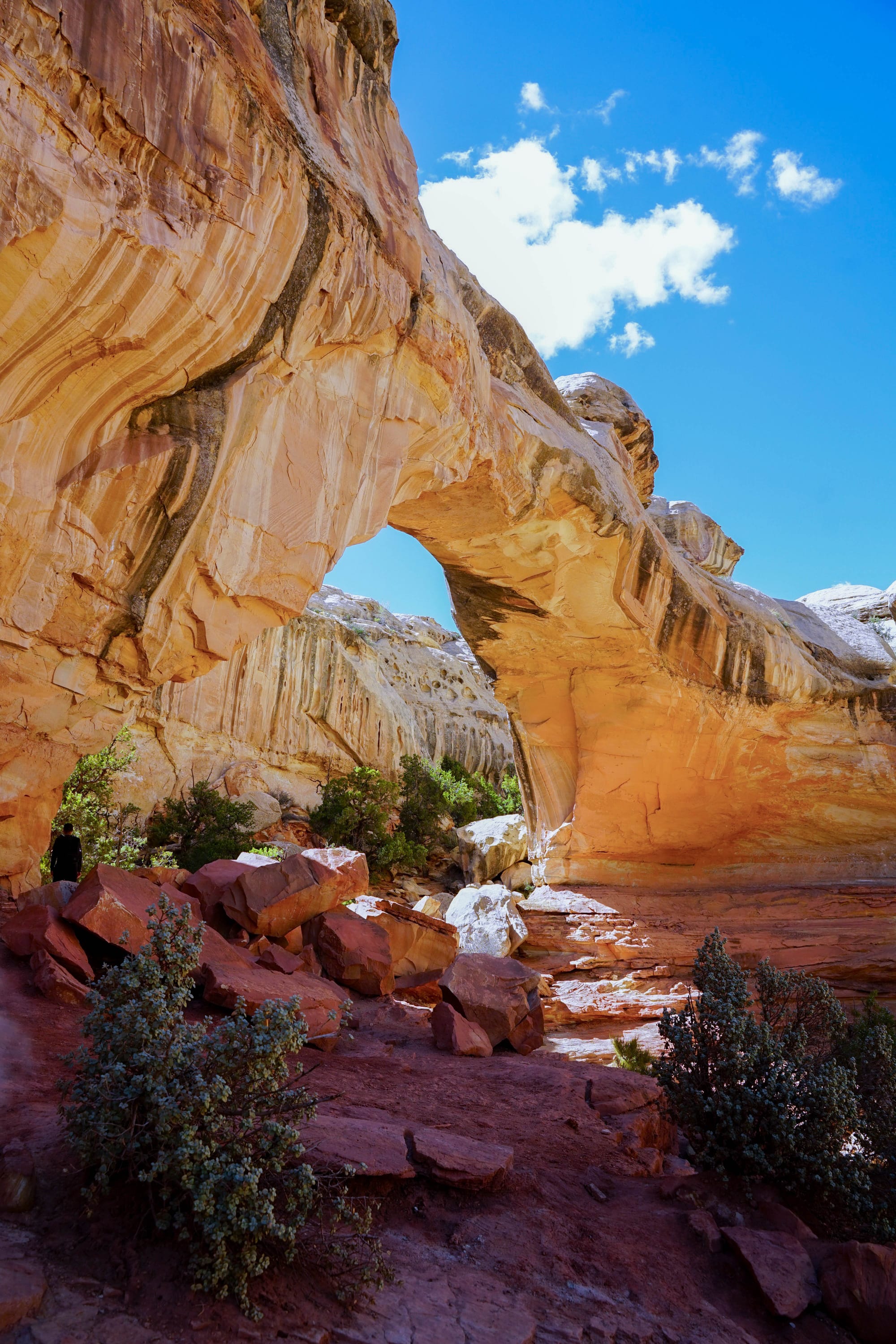 Natural Bridge Capitol Reef