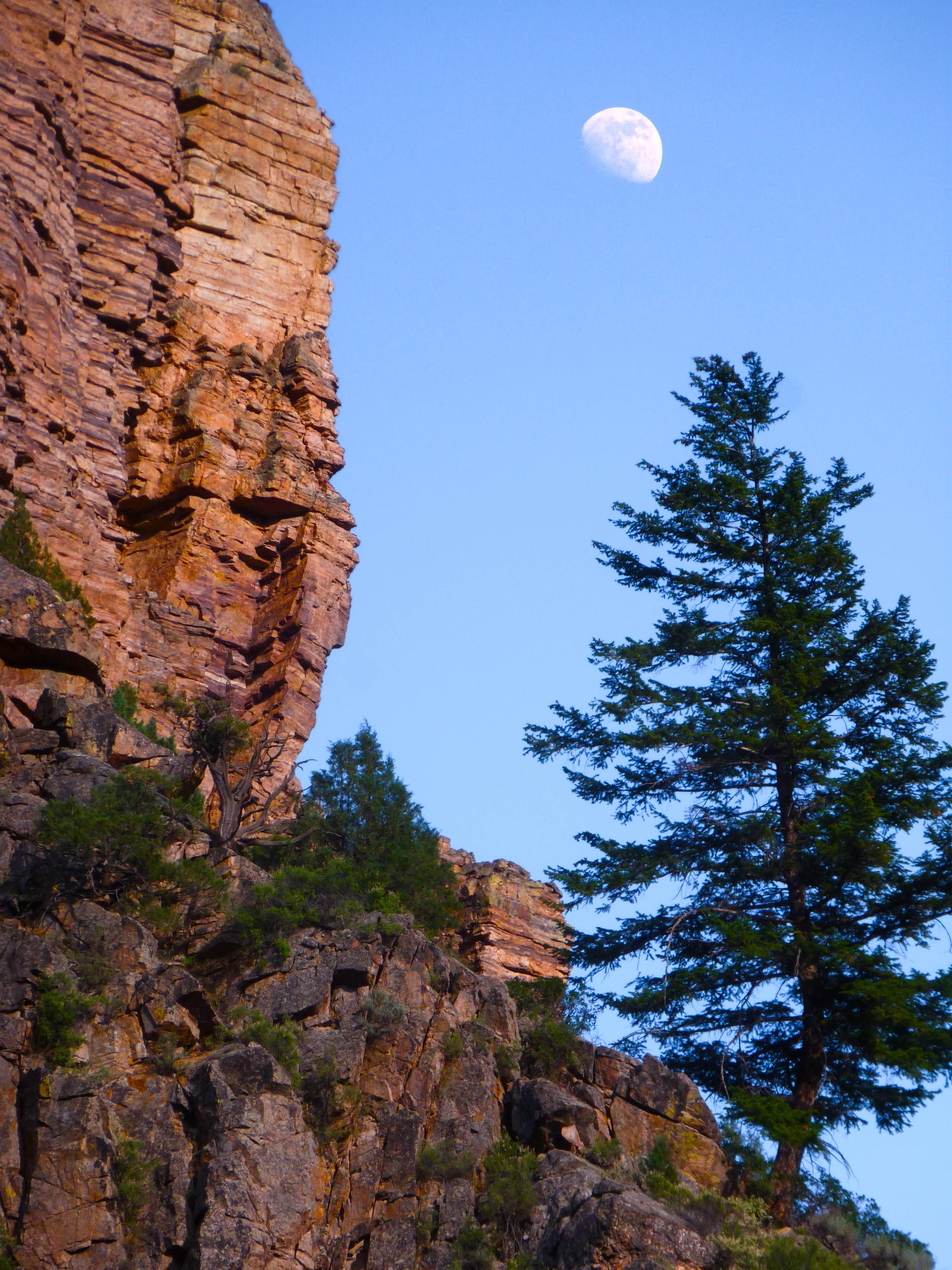 A View of the Moon