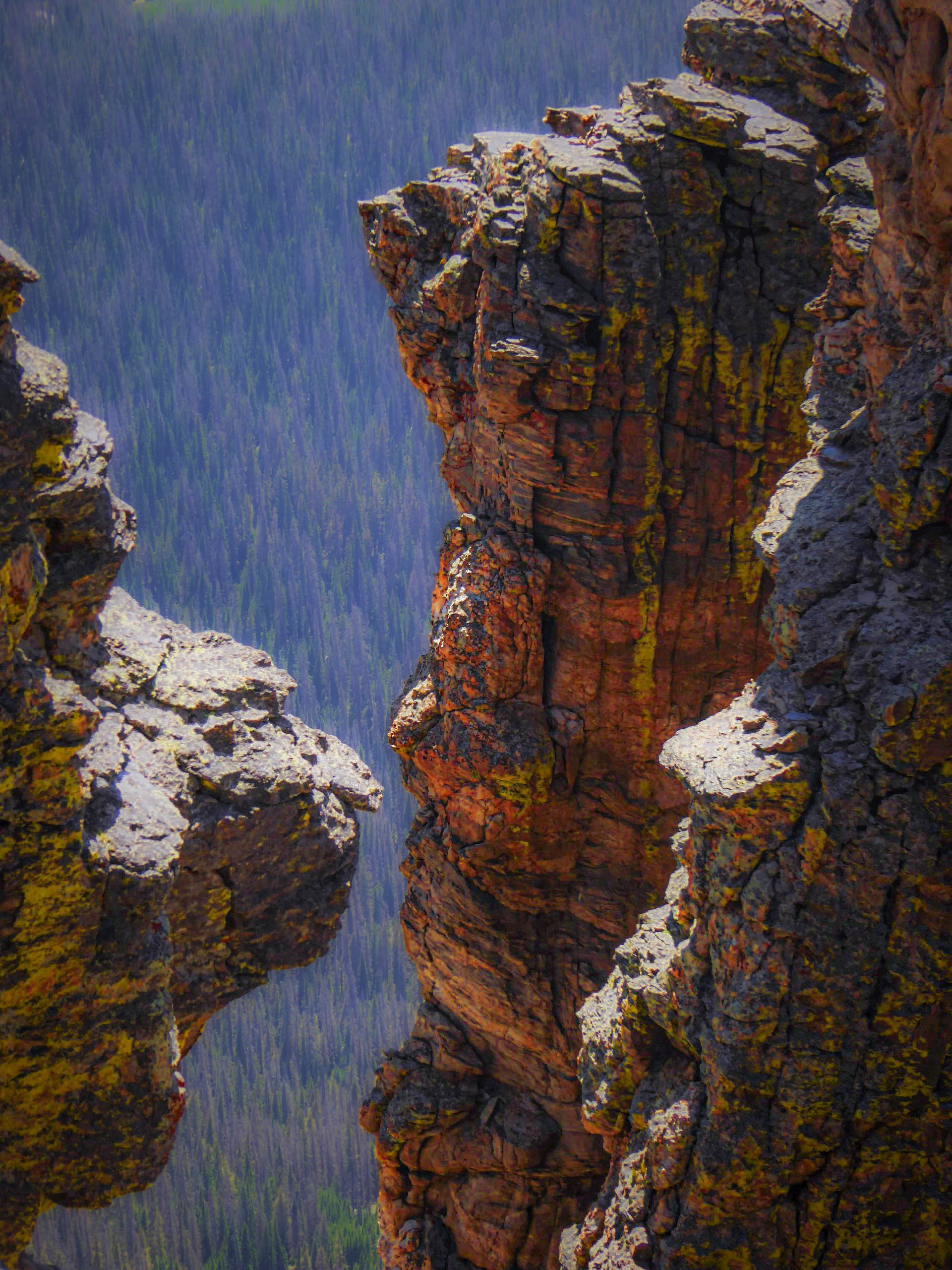 A View On Woflcreek Pass