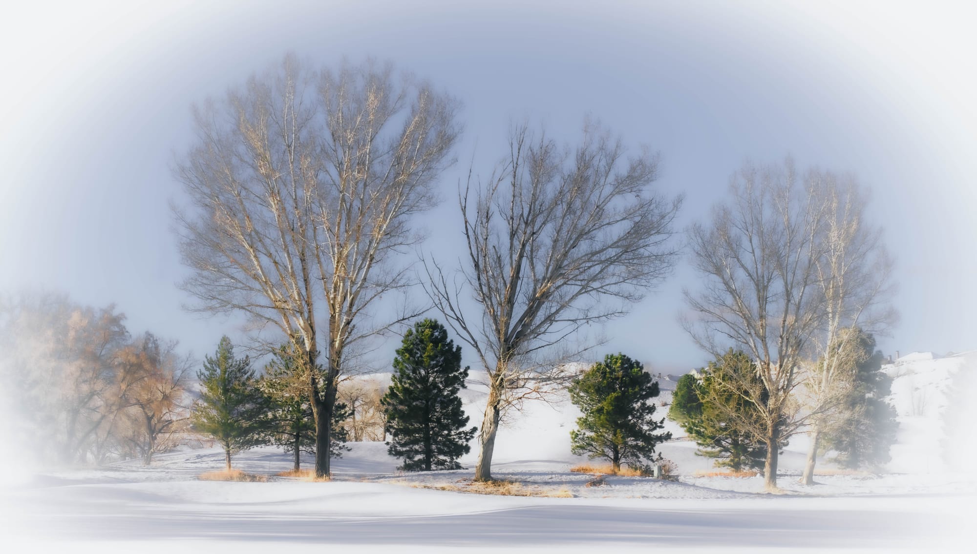 Snow on the Plains