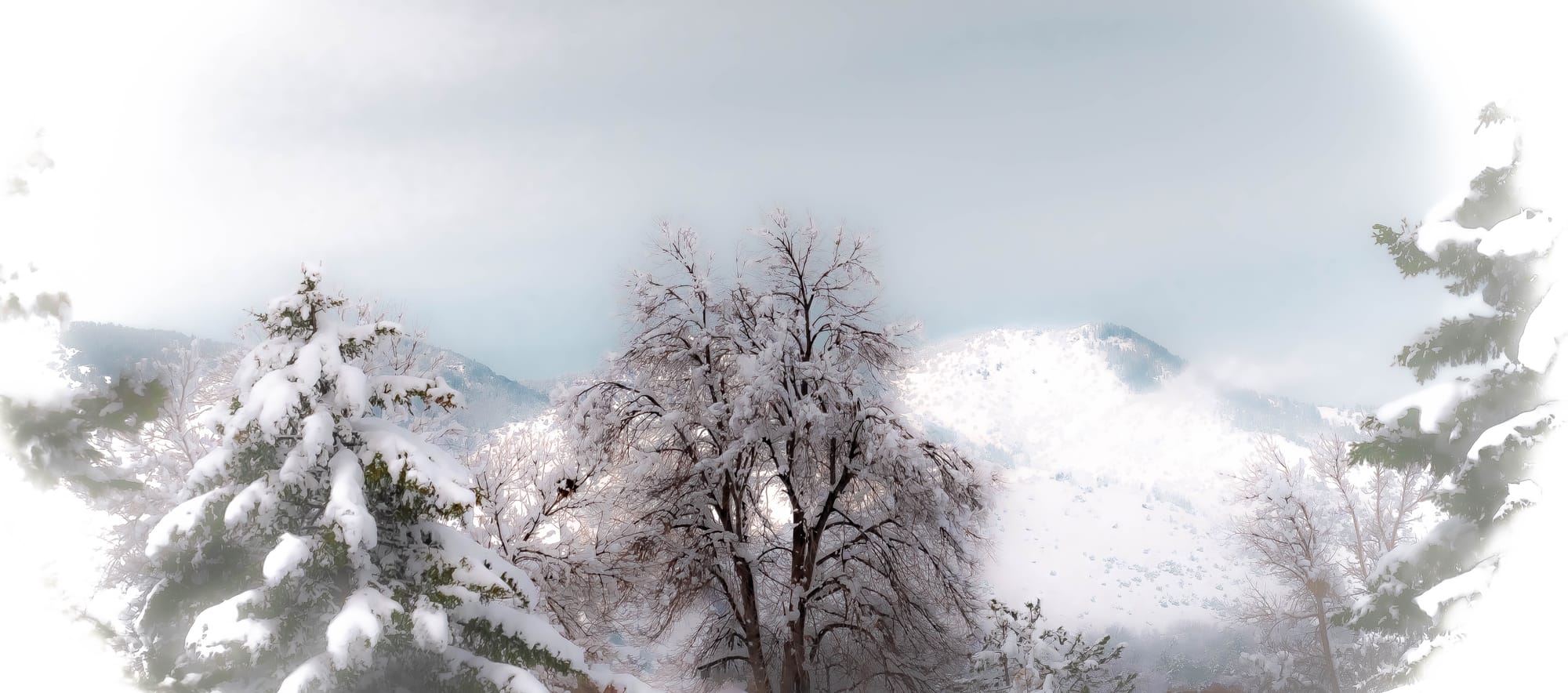 Spring Snow in the Rockies