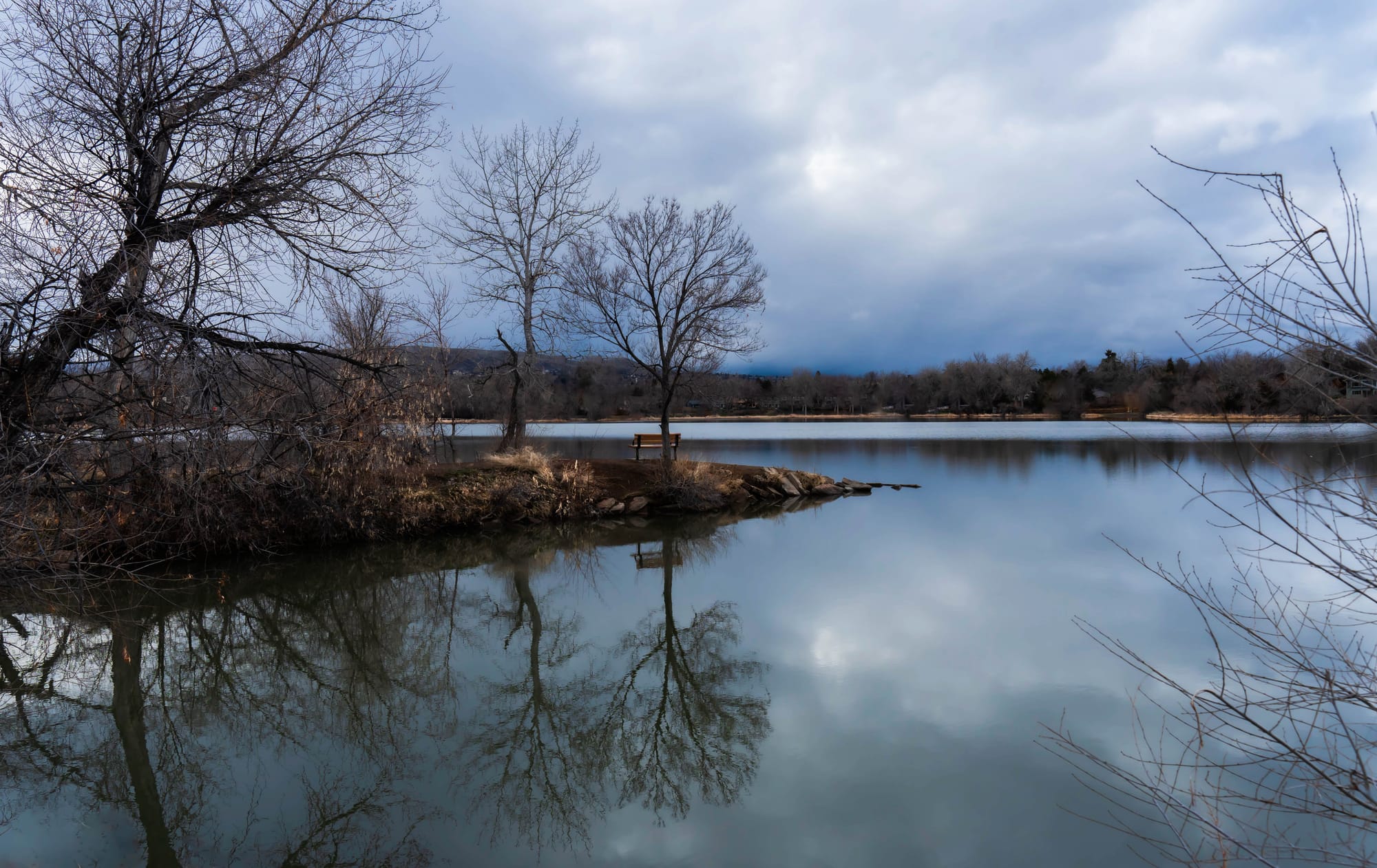 Winter's Last Reflection