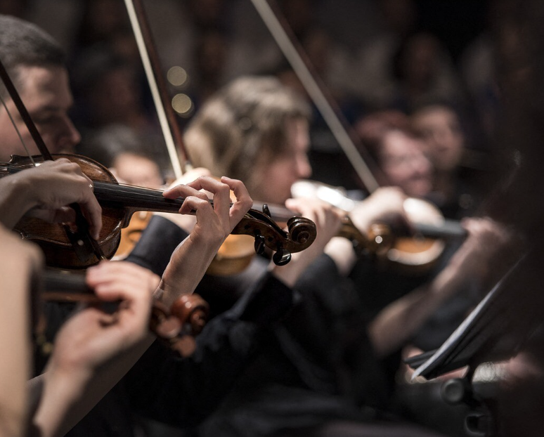 Feldenkrais for musicians