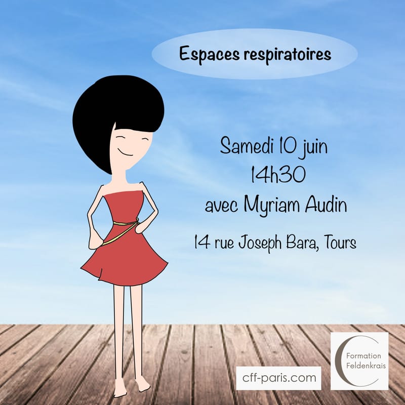 Structure of the respiratory spaces