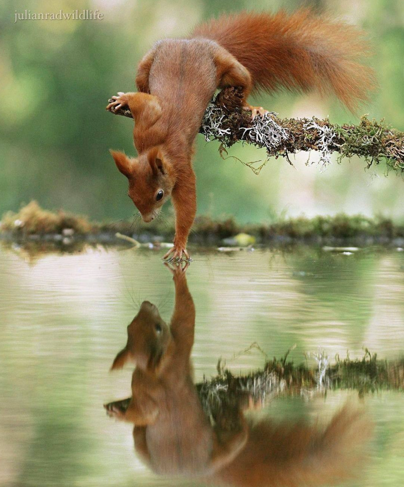 Sensory experience and self-image