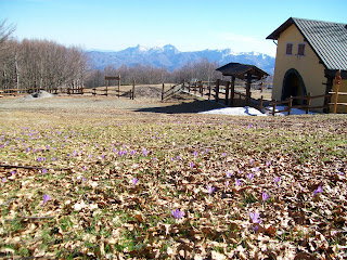 Parco dell'Argegna