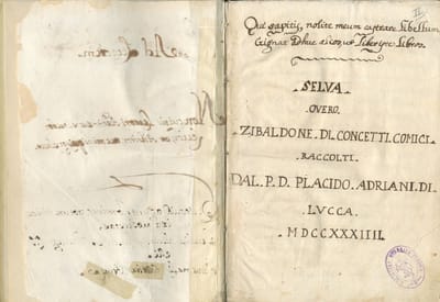 La Selva di Placido Adriani