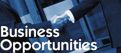 Benefits of Federal Business Opportunities Websites