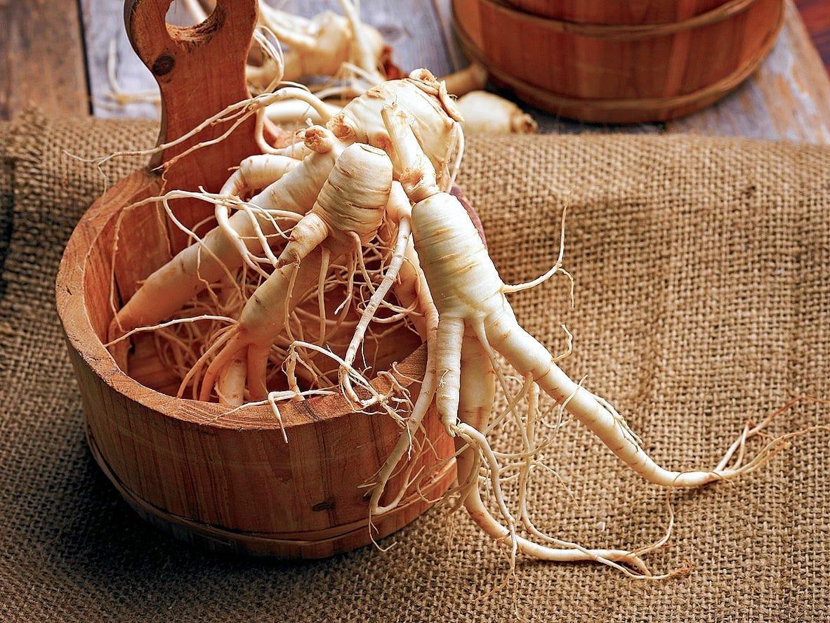 O que é o Ginseng e para que serve?