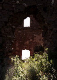 Új élet sarjad, a régi romokon