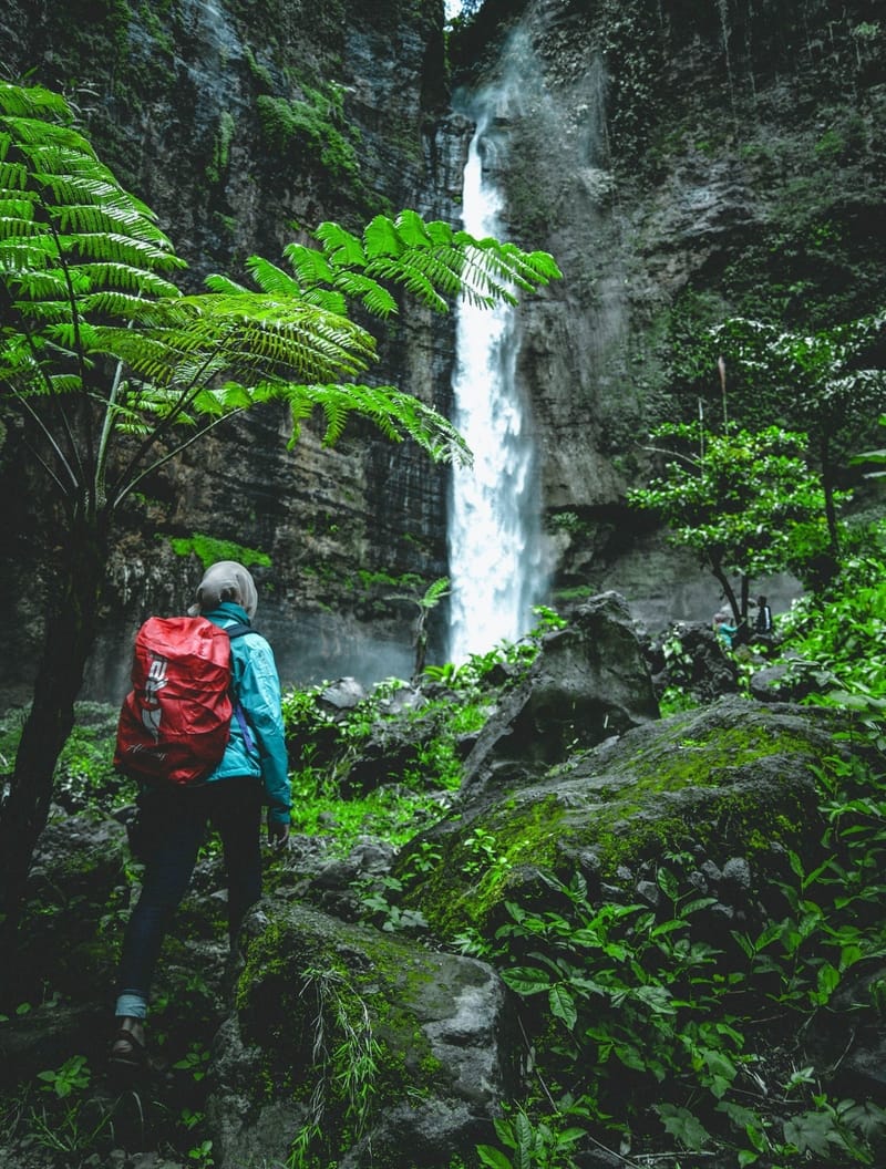 Adventures and Ecotourism