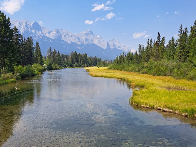 CONSULTING/ VISIT OUR SHOWROOM