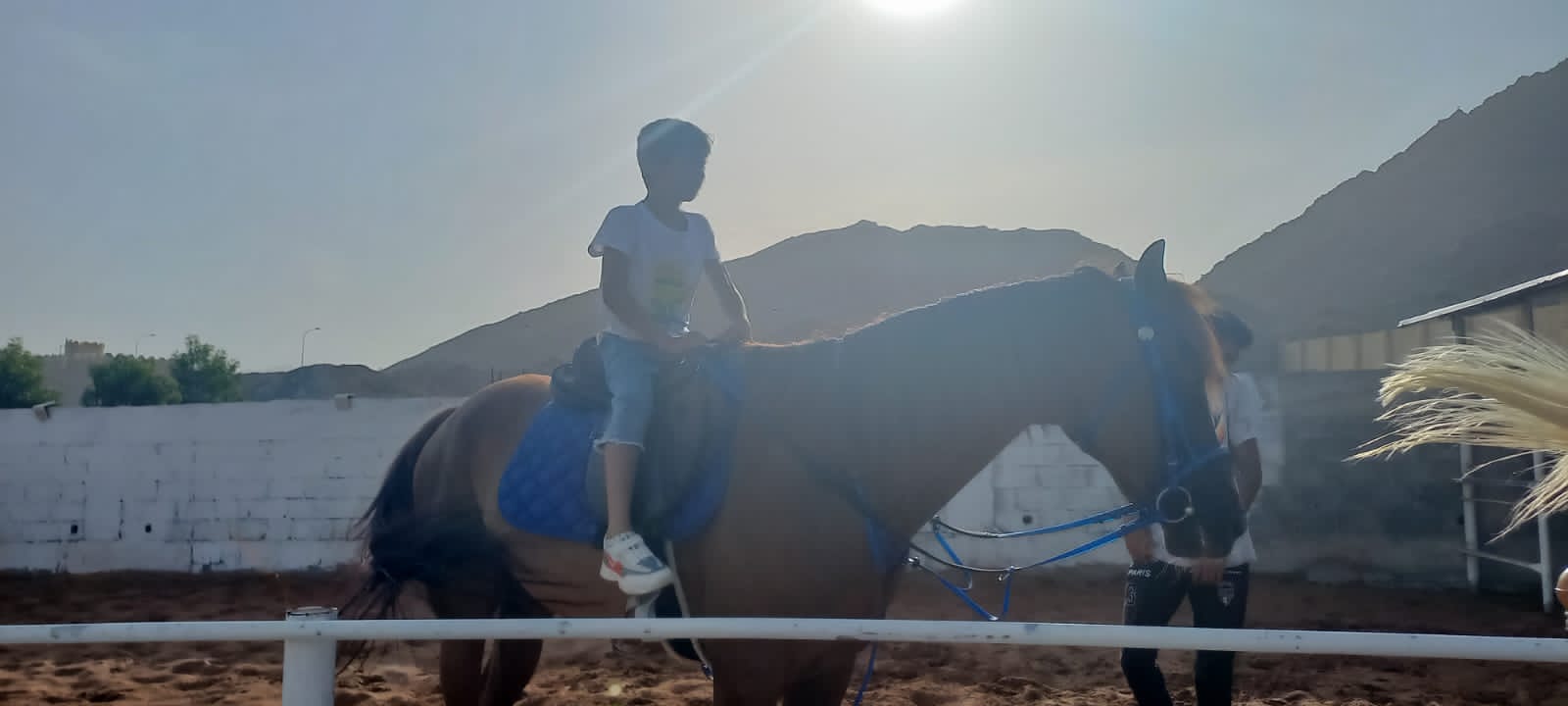 فرسان اليقين