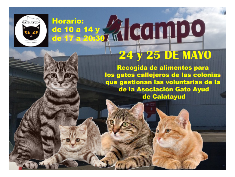 RECOGIDA DE ALIMENTOS