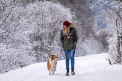 ♥lich Willkommen image