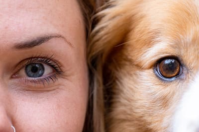 ♥lich Willkommen image