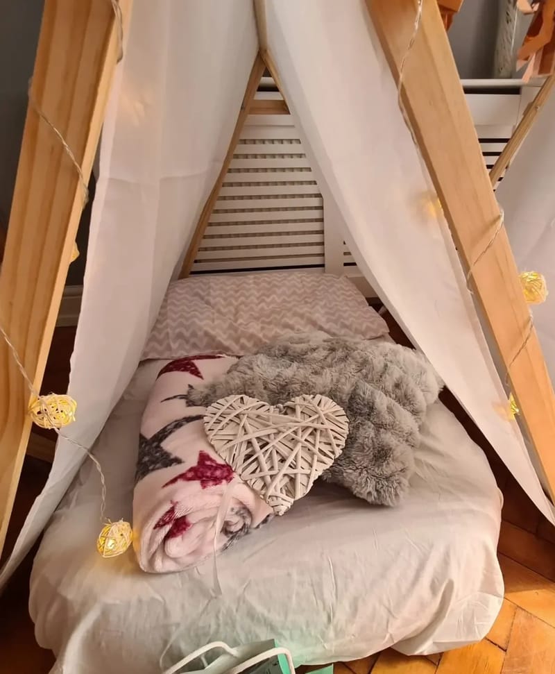 Sleepover teepee hire