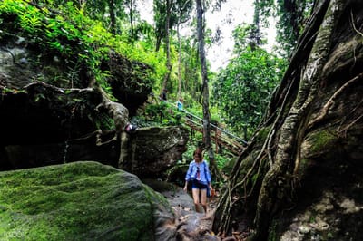 Exploring The Wonders Of Kakadu National Park: A Tour Through Nature's Paradise