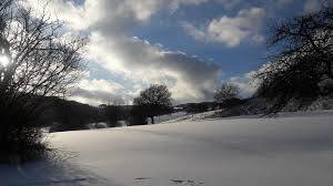 Gesund durch den Winter