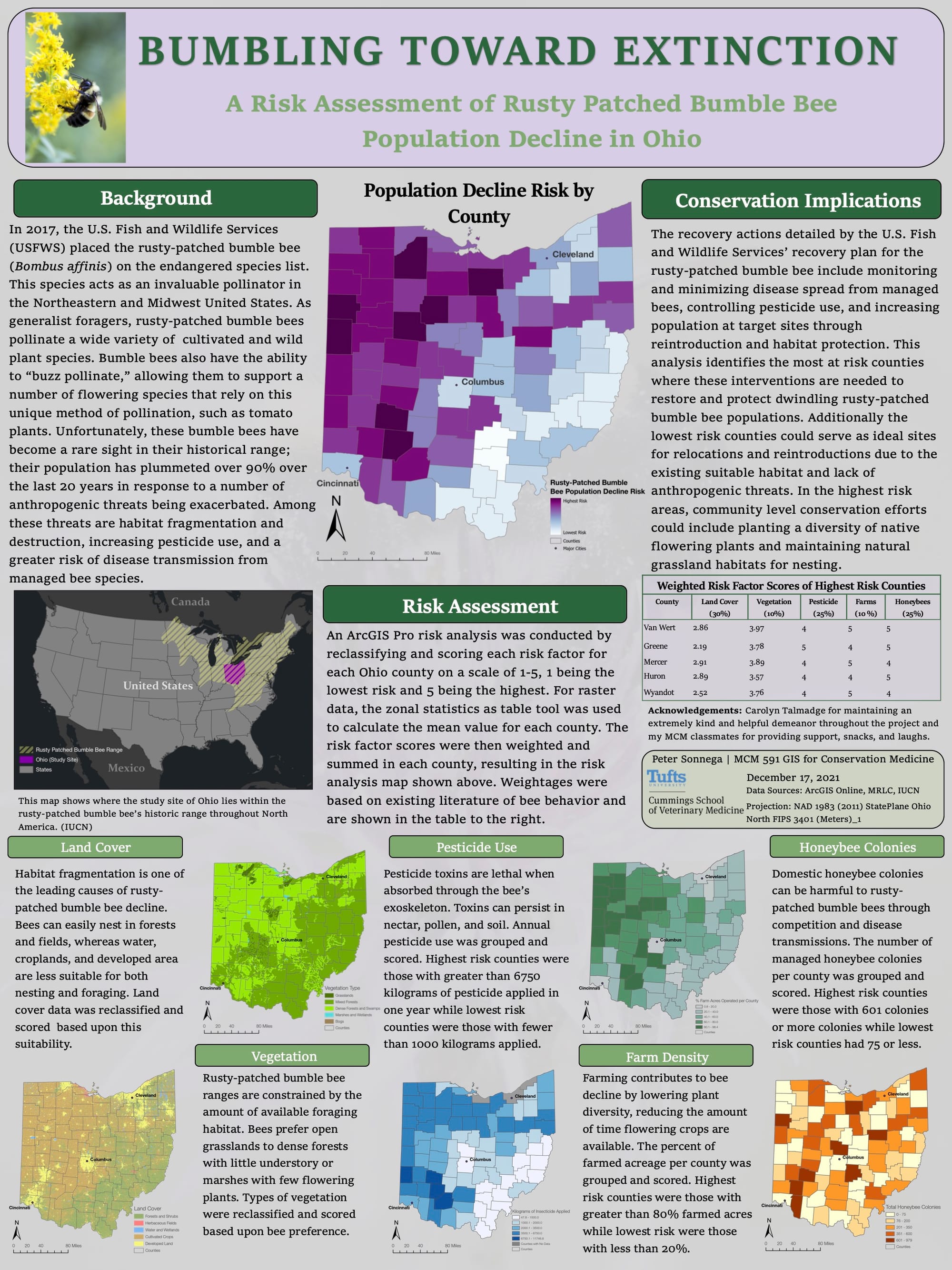 GIS Analysis