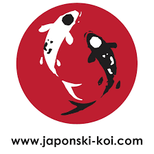 JAPONSKI KOI