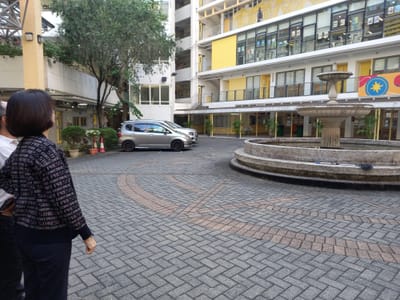 Return to Alma Mater 重囘母校