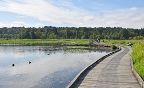 感謝野餐 Thanks Picnic