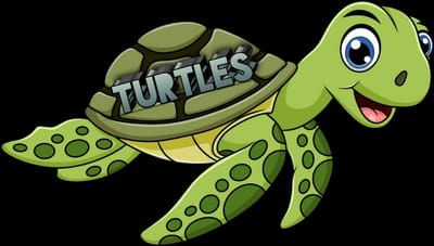 FC Turtles