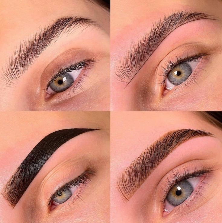 Бровист 6 моделей