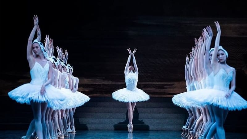 lac des cygnes / Réservation au 02.97.12.40.51