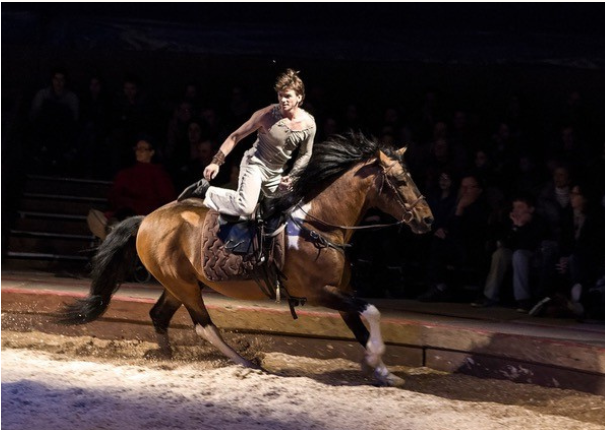 Spectacle centre équestre d'Hennebont "ONCE UPON A TIME" / Réservation au 02.97.12.43.10 . COMPLET