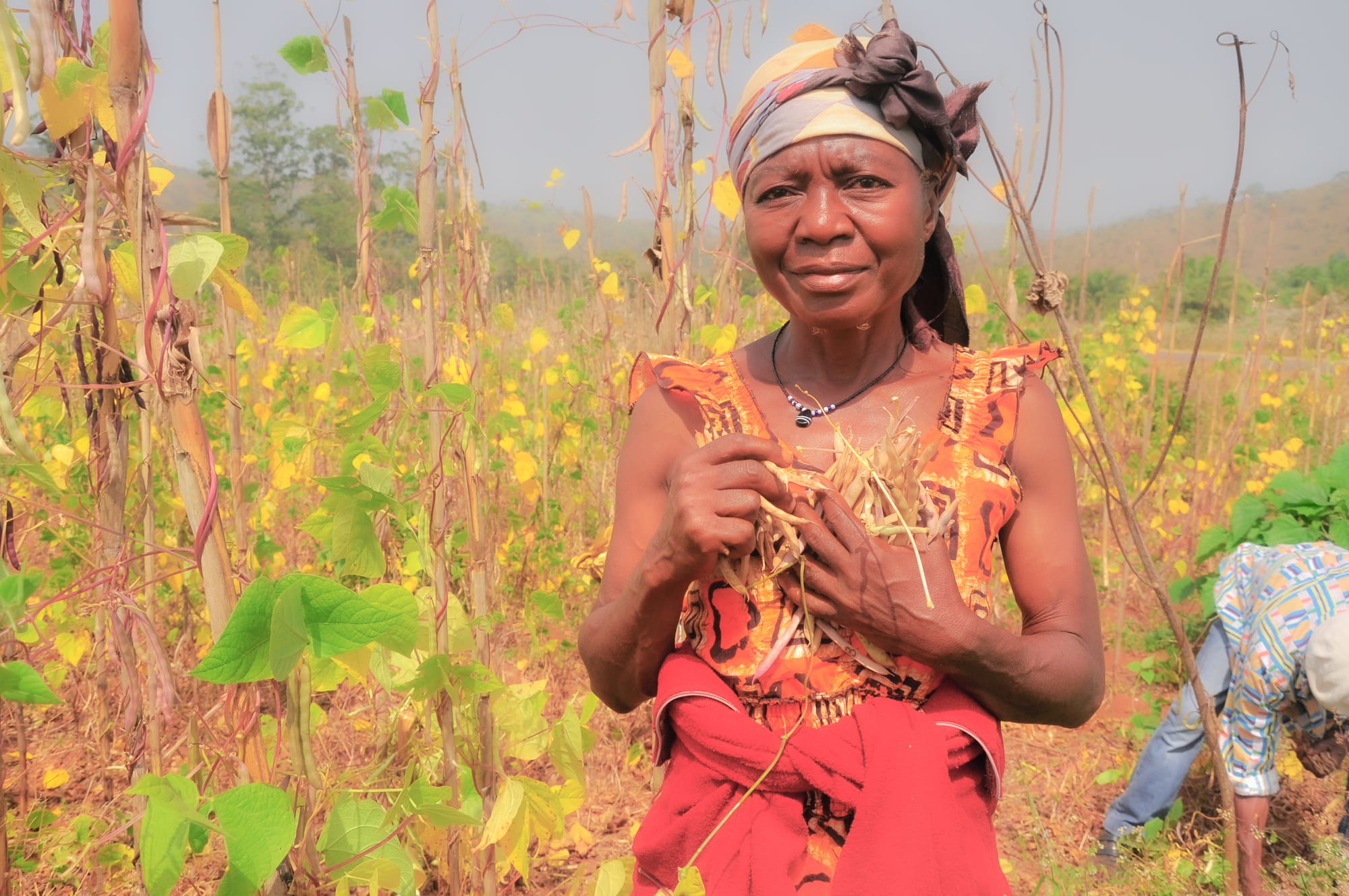 NGONG-Training the Bambui Farmers of Tomorrow