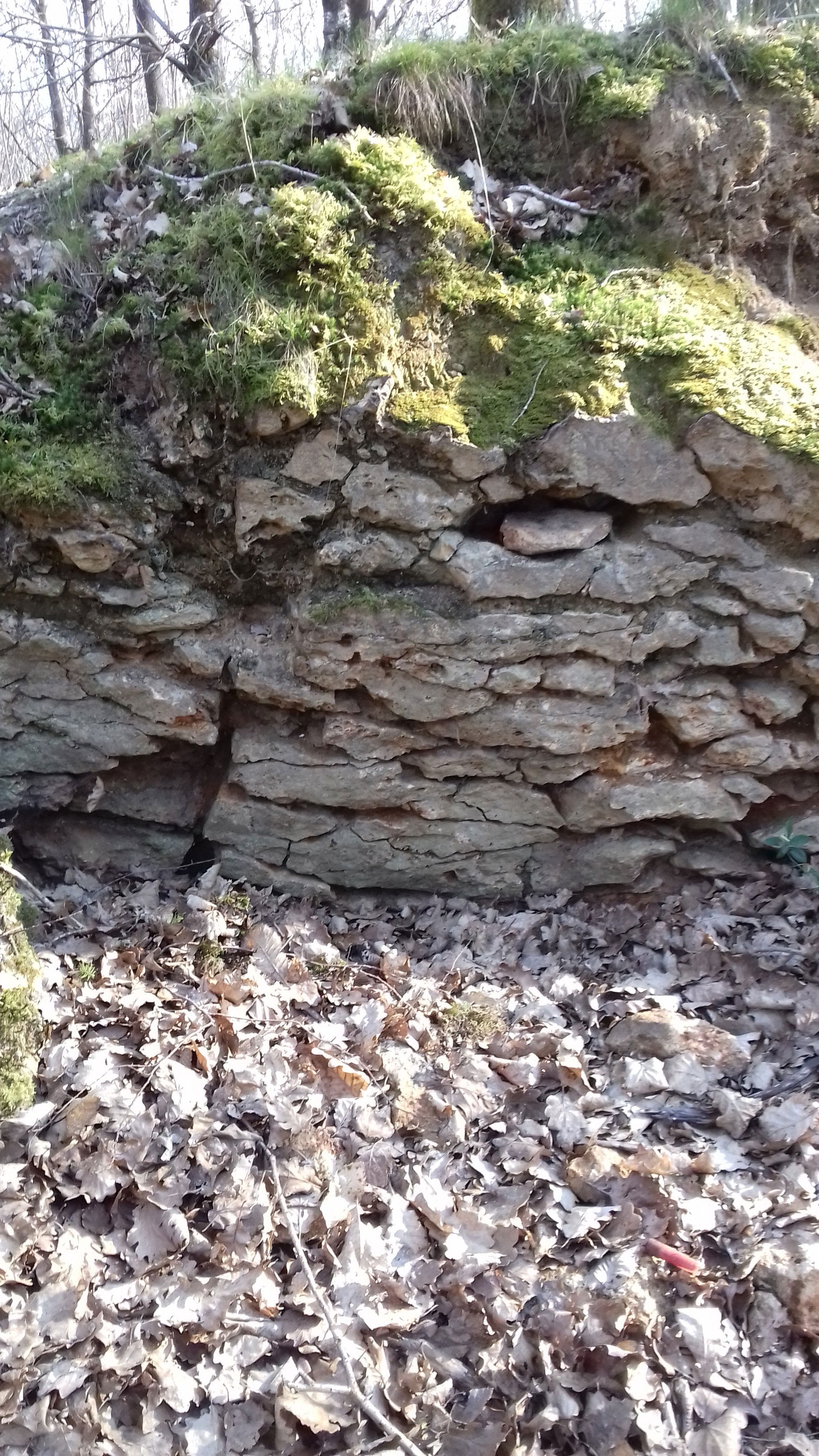 Les carrières de pierre meulière à Ozouer-le-Voulgis