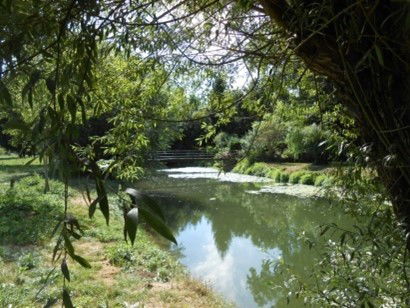 8 novembre 2023 : concours photo "la nature à l'oeuvre"