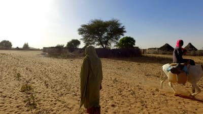 Fourteen female IDPs including children sexually violated in South Darfur