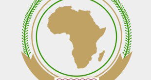 The AU PSC established a high-level panel to deal with Sudan's situation
