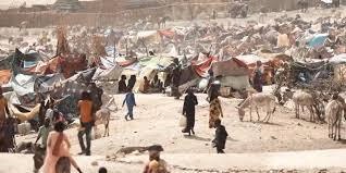 South Darfur: Twenty IDPs die of malnutrition and untreated chronic diseases amidst a humanitarian crisis in Kalma IDP Camp