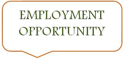 Internship Opportunity: Fundraising Intern