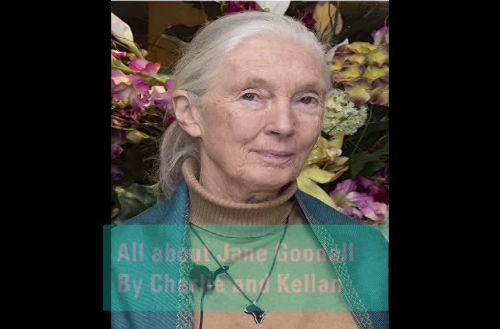 All about Jane Goodall