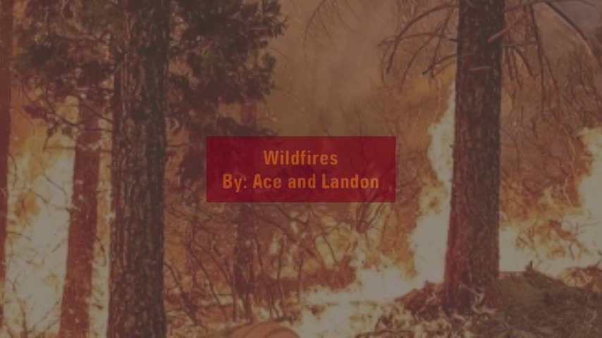 Wildfires by: Ace and Landon