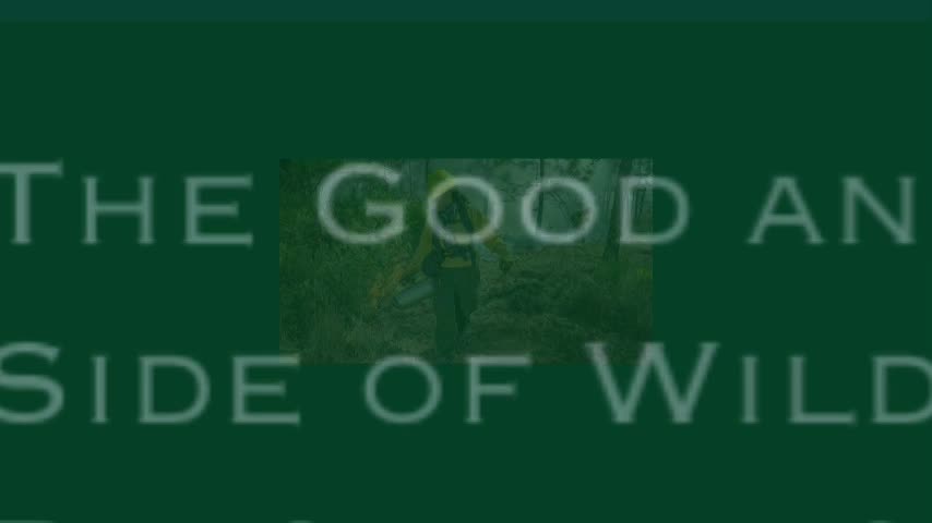 The Good and Bad Side of Wildfires by: Violet and Ari