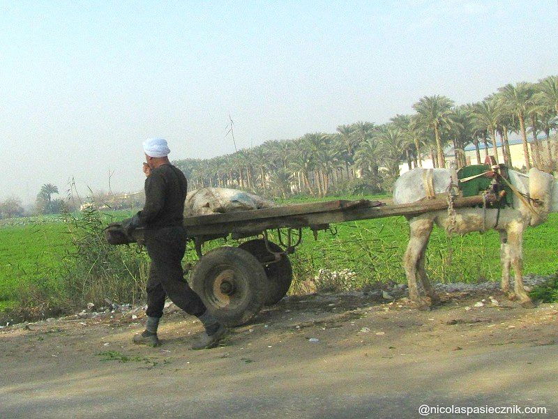 Agricultor de GIzah