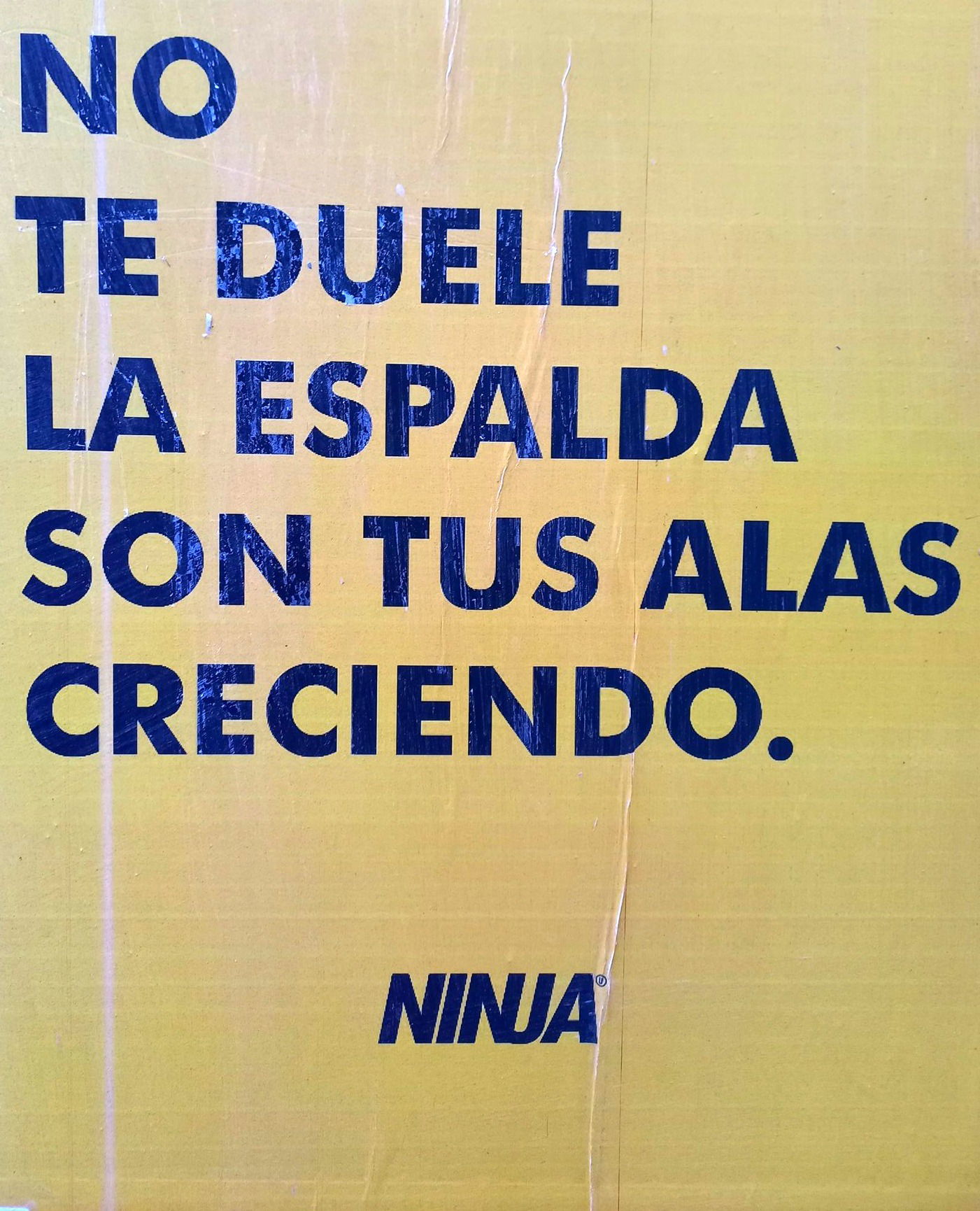 Proyecto Ninja Arte, BA