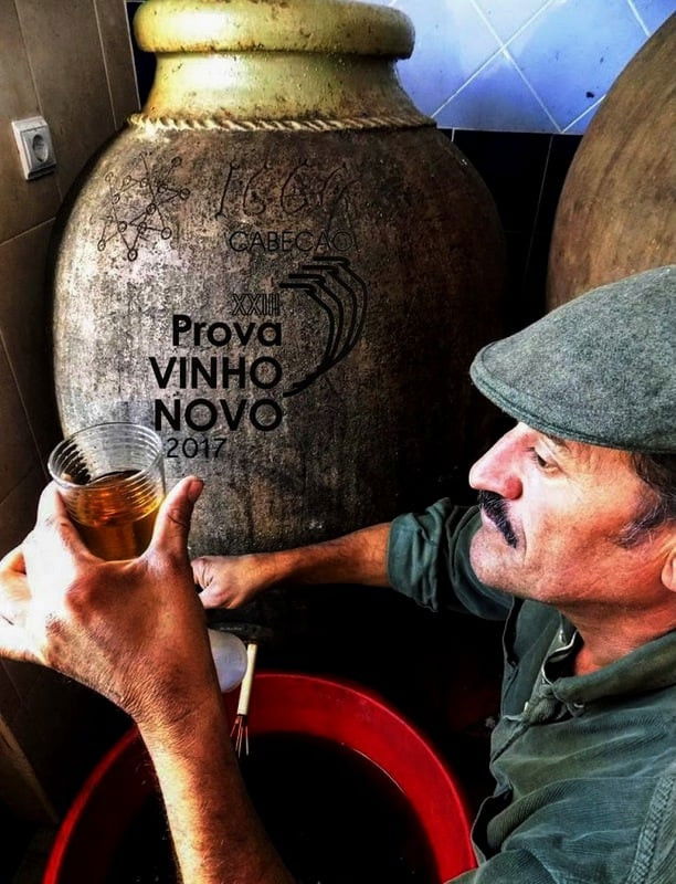 Prova do Vinho Novo 2017