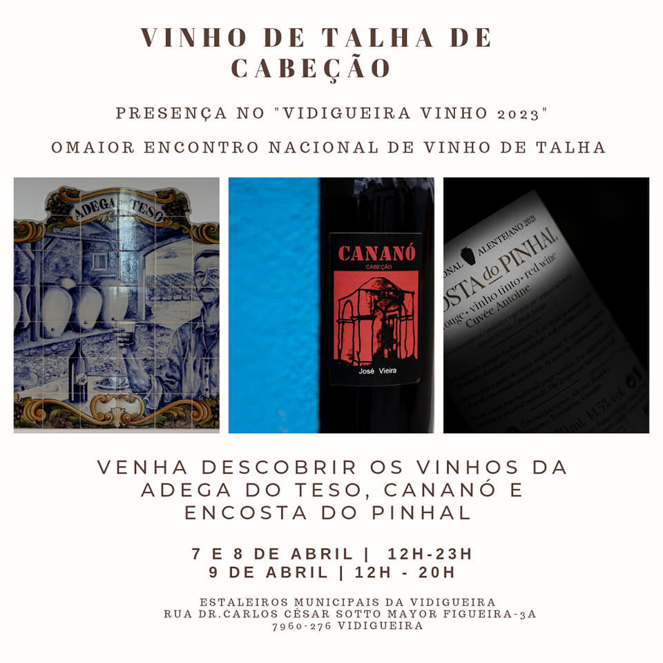 Presença no "Vidigueira Vinho 2023"