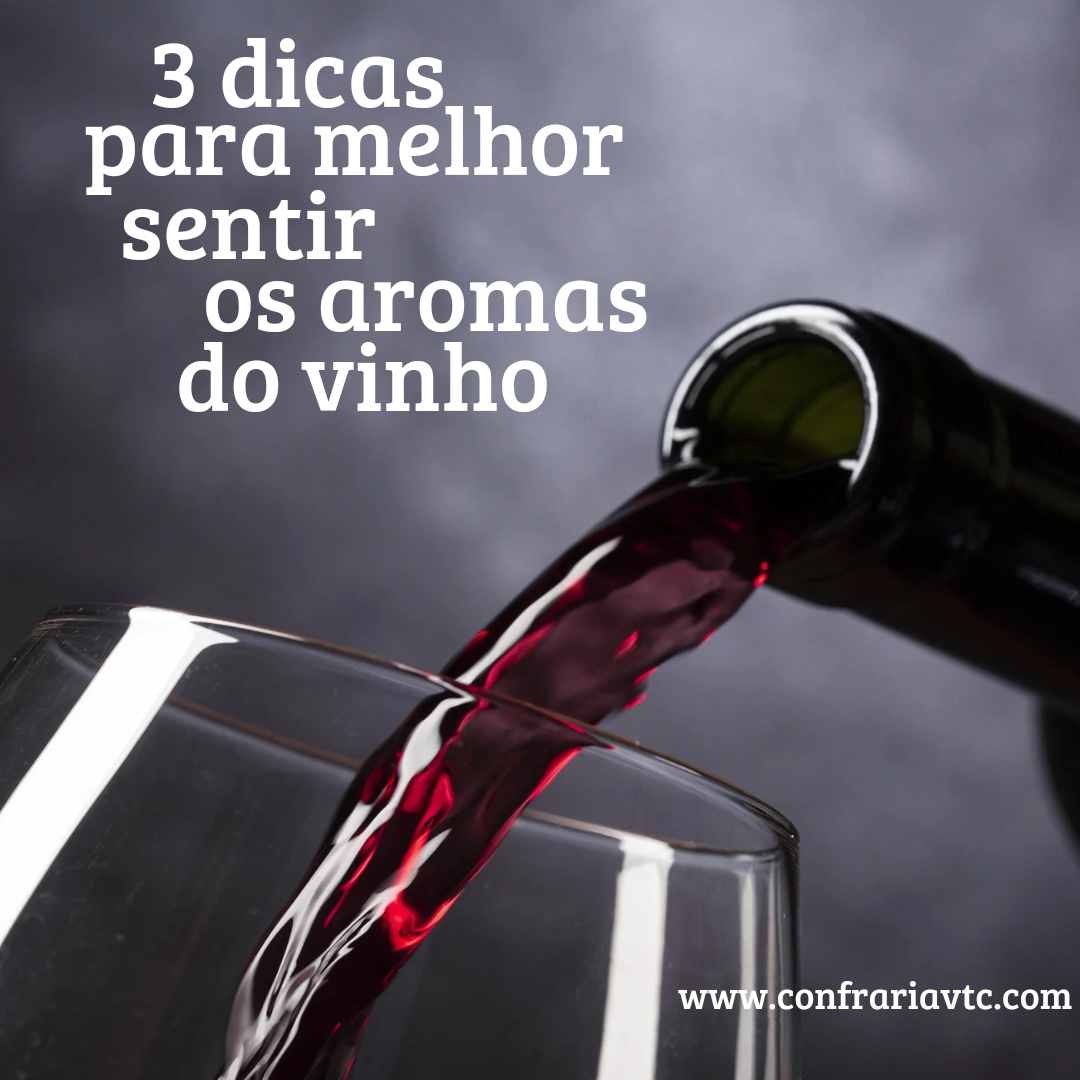 3 Dicas para sentir o aroma de um vinho I