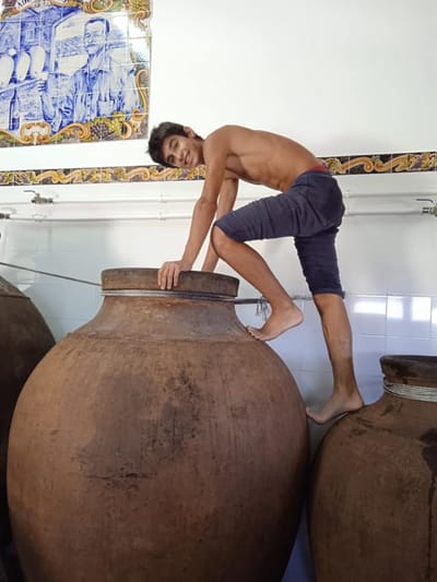 Vinho da Talha de Cabeção - apresentação